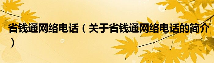 省钱通网络电话（关于省钱通网络电话的简介）