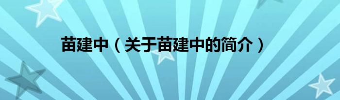 苗建中（关于苗建中的简介）