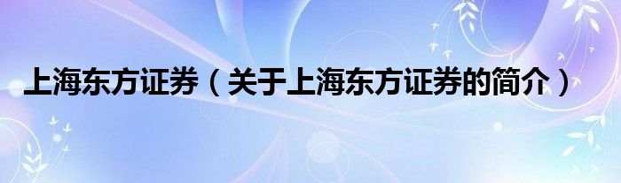 上海东方证券（关于上海东方证券的简介）