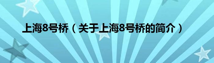 上海8号桥（关于上海8号桥的简介）