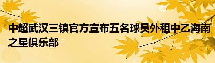 中超武汉三镇官方宣布五名球员外租中乙海南之星俱乐部
