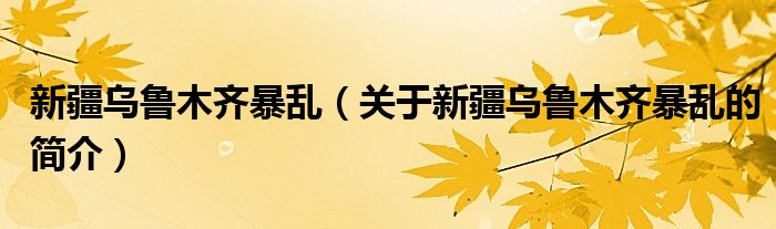 新疆乌鲁木齐暴乱（关于新疆乌鲁木齐暴乱的简介）