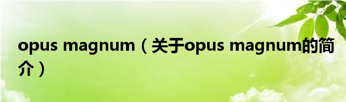 opus magnum（关于opus magnum的简介）