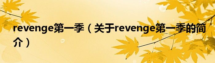 revenge第一季（关于revenge第一季的简介）