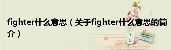 fighter什么意思（关于fighter什么意思的简介）