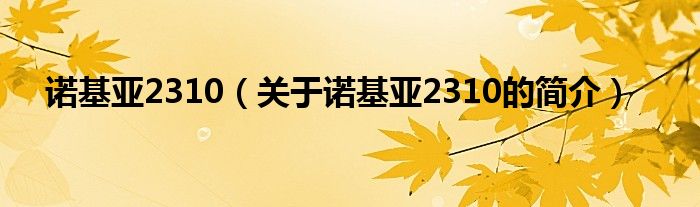 诺基亚2310（关于诺基亚2310的简介）