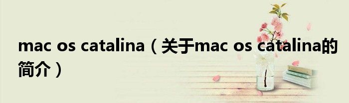 mac os catalina（关于mac os catalina的简介）