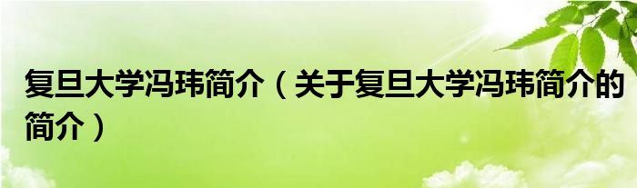 复旦大学冯玮简介（关于复旦大学冯玮简介的简介）