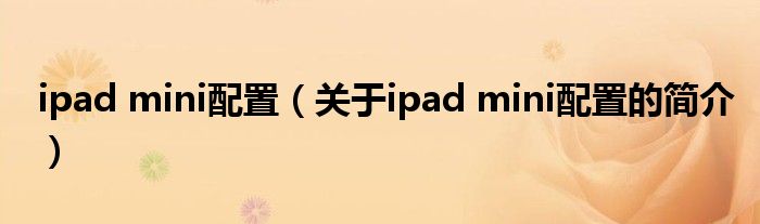 ipad mini配置（关于ipad mini配置的简介）