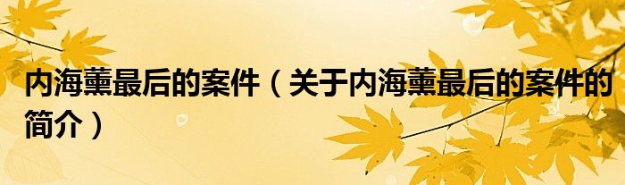 内海薰最后的案件（关于内海薰最后的案件的简介）