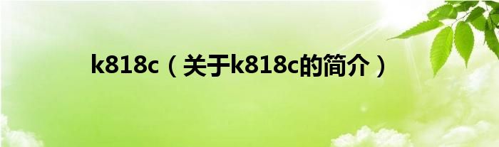 k818c（关于k818c的简介）