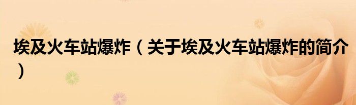 埃及火车站爆炸（关于埃及火车站爆炸的简介）