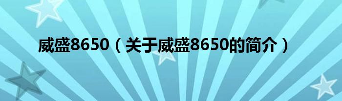 威盛8650（关于威盛8650的简介）