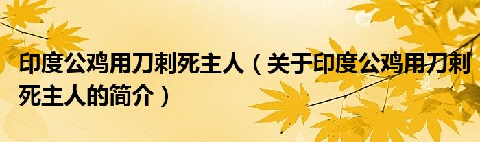 印度公鸡用刀刺死主人（关于印度公鸡用刀刺死主人的简介）