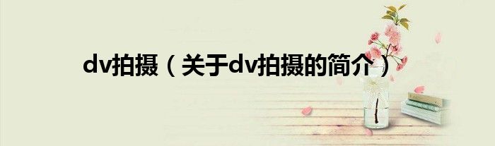 dv拍摄（关于dv拍摄的简介）