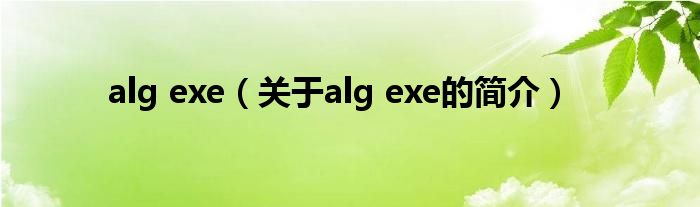alg exe（关于alg exe的简介）