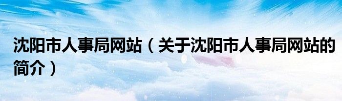 沈阳市人事局网站（关于沈阳市人事局网站的简介）