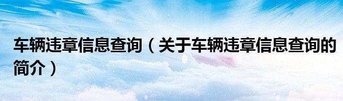 车辆违章信息查询（关于车辆违章信息查询的简介）