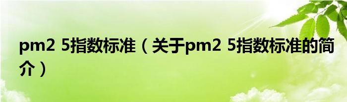 pm2 5指数标准（关于pm2 5指数标准的简介）