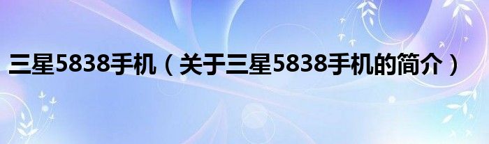 三星5838手机（关于三星5838手机的简介）