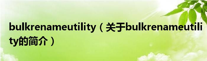 bulkrenameutility（关于bulkrenameutility的简介）