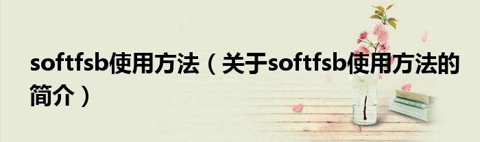 softfsb使用方法（关于softfsb使用方法的简介）