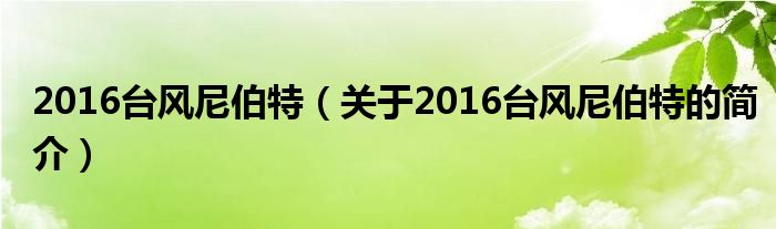 2016台风尼伯特（关于2016台风尼伯特的简介）