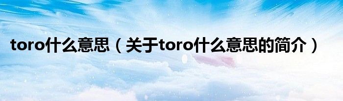 toro什么意思（关于toro什么意思的简介）