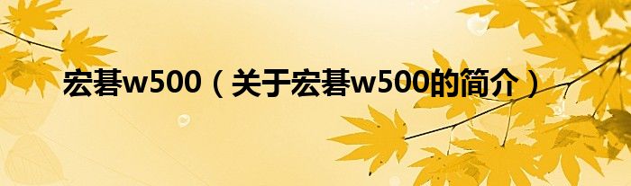 宏碁w500（关于宏碁w500的简介）