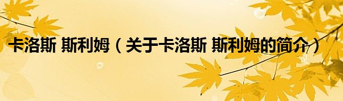 卡洛斯 斯利姆（关于卡洛斯 斯利姆的简介）