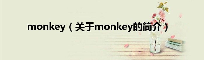 monkey（关于monkey的简介）