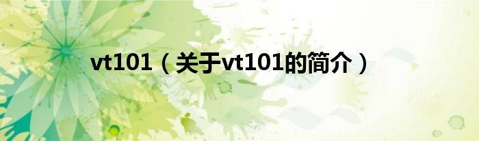 vt101（关于vt101的简介）