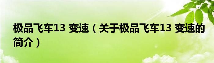 极品飞车13 变速（关于极品飞车13 变速的简介）