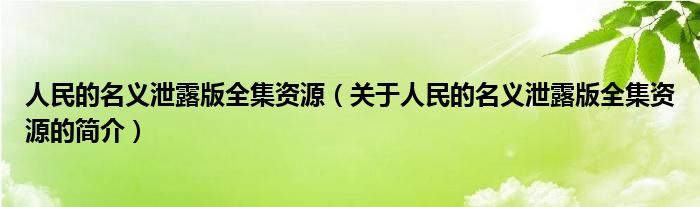 人民的名义泄露版全集资源（关于人民的名义泄露版全集资源的简介）