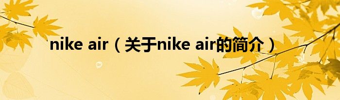 nike air（关于nike air的简介）