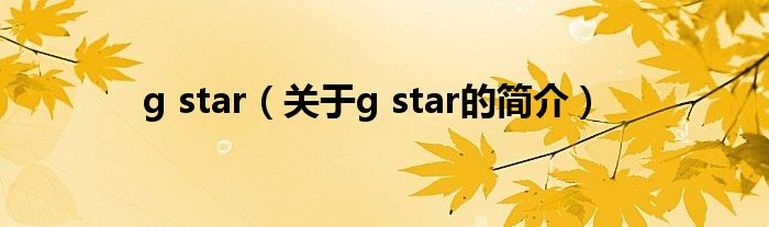 g star（关于g star的简介）