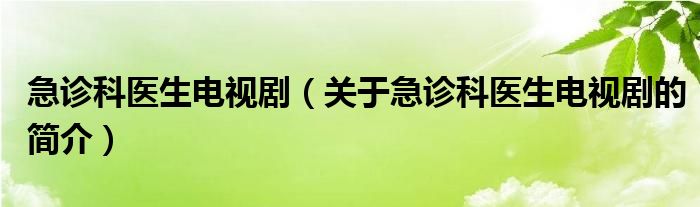 急诊科医生电视剧（关于急诊科医生电视剧的简介）