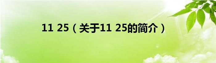 11 25（关于11 25的简介）