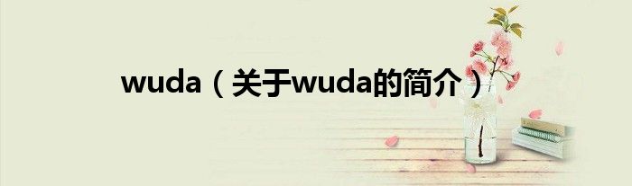 wuda（关于wuda的简介）