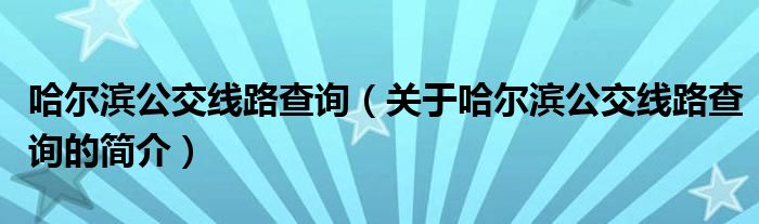 哈尔滨公交线路查询（关于哈尔滨公交线路查询的简介）