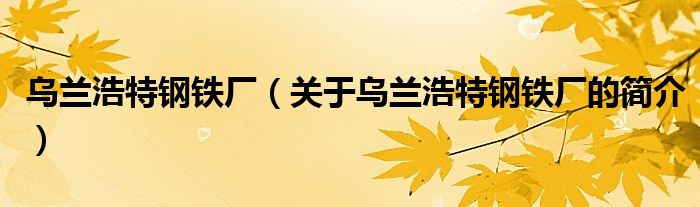 乌兰浩特钢铁厂（关于乌兰浩特钢铁厂的简介）