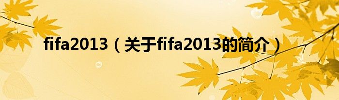 fifa2013（关于fifa2013的简介）