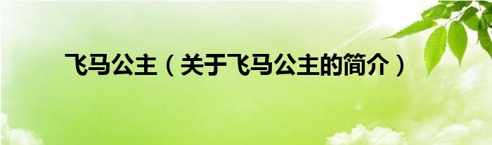 飞马公主（关于飞马公主的简介）