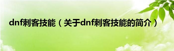 dnf刺客技能（关于dnf刺客技能的简介）