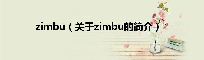 zimbu（关于zimbu的简介）