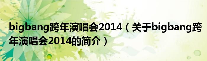 bigbang跨年演唱会2014（关于bigbang跨年演唱会2014的简介）