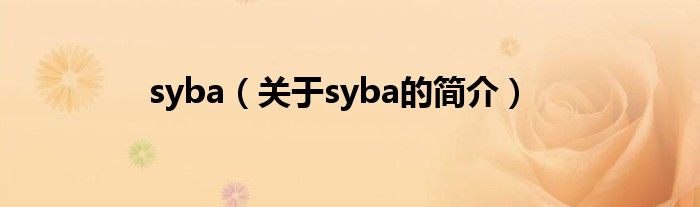 syba（关于syba的简介）