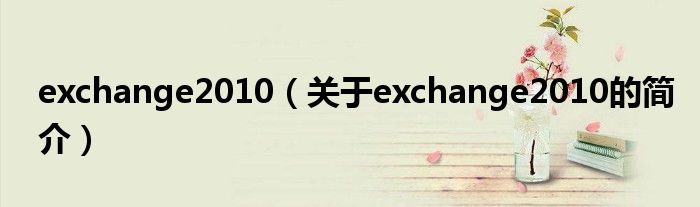 exchange2010（关于exchange2010的简介）
