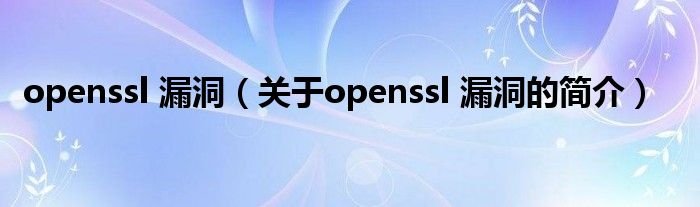 openssl 漏洞（关于openssl 漏洞的简介）