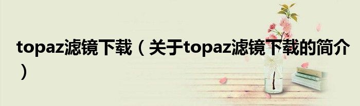 topaz滤镜下载（关于topaz滤镜下载的简介）